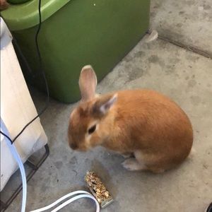 Meet your Posher, Tawnya